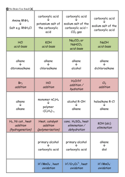 addition - No Brain Too Small