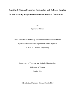 Combined Chemical Looping Combustion and