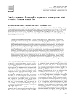 Densitydependent demographic responses of a semelparous plant
