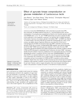 Effect of pyruvate kinase overproduction on glucose