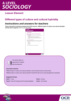 Different types of culture and cultural hybridity