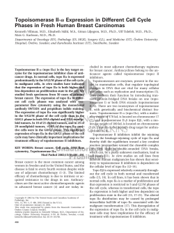 Topoisomerase II- Expression in Different Cell Cycle Phases in