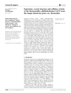 Expression, crystal structure and cellulase activity of the