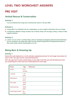Level 2 - ANSWERS.indd
