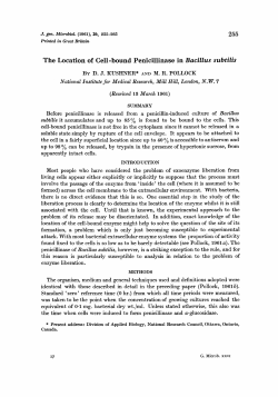 The Location of Cell-bound Penicillinase in Bacillus