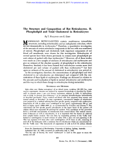 The Structure and Composition of Rat Reticulocytes