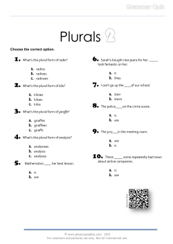 Plural Forms_grammar-quiz-2