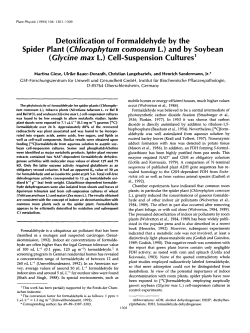 Detoxification of Formaldehyde by the
