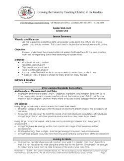 Spider Web Hunt - Granny`s Garden School