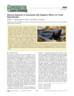 Mercury Exposure is Associated with Negative Effects on Turtle