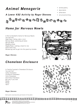 Animal Menagerie