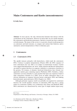 Maize Centromeres and Knobs (neocentromeres)