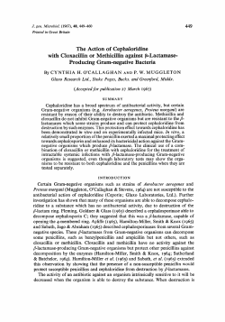 Producing Gram-negative Bacteria