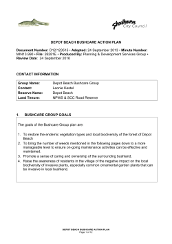 DEPOT BEACH BUSHCARE ACTION PLAN Document Number