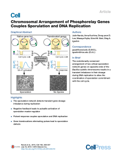Chromosomal Arrangement of Phosphorelay Genes Couples