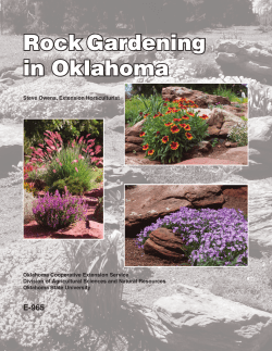 Rock Gardening in Oklahoma - OSU Fact Sheets