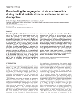 Coordinated segregation of sister chromatids