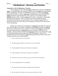 Cell Membrane &ndash; Structure and Function