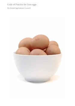 Code of Practice for Lion eggs