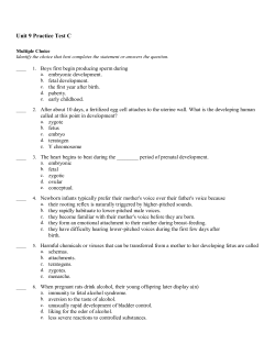 Unit 9 Practice Test C - Lewis