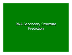 RNA Secondary Structure Prediction