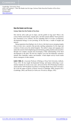 How the Snake Lost its Legs - Assets