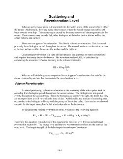 Scattering and Reverberation Level