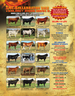 LMC $eLLabraton saLe - La Muneca Cattle Co.