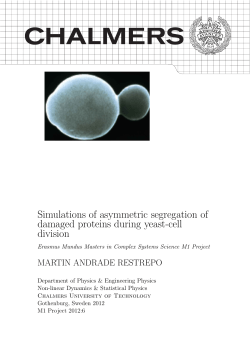 Simulations of asymmetric segregation of damaged proteis during