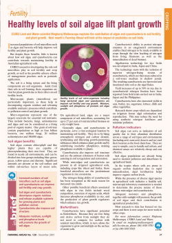 Healthy levels of soil algae lift plant growth