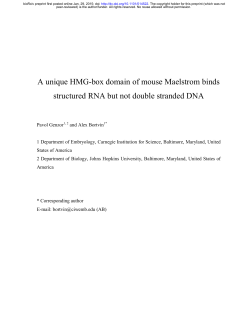 A unique HMG-box domain of mouse Maelstrom binds
