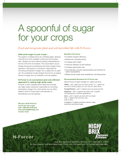 Feed and invigorate plant and soil microbial life with N