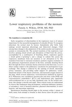 Lower respiratory problems of the neonate