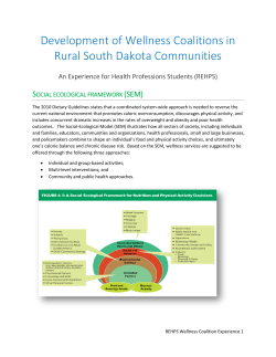 Development of Wellness Coalitions in Rural South Dakota