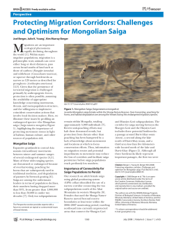 Protecting Migration Corridors: Challenges and Optimism for