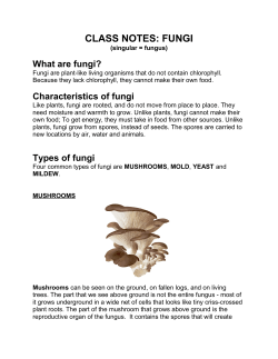 CLASS NOTES: FUNGI