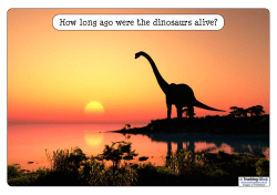 Dinosaurs Inspirations
