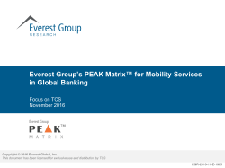Everest Group`s PEAK Matrix™ for Mobility Services in Global Banking