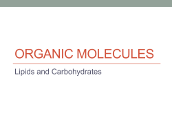 Organic Molecules: Lipids and Carbs POWERPOINT