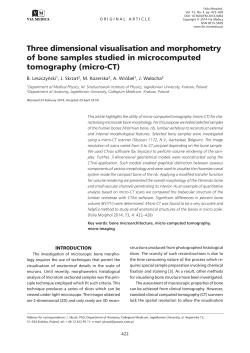 Three dimensional visualisation and morphometry of bone samples