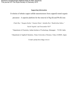 Evolution of tubular copper sulfide nanostructures
