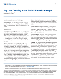 Key Lime Growing in the Florida Home Landscape1