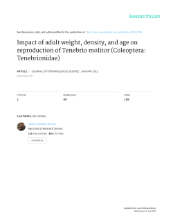 Impact of adult weight, density, and age on reproduction of Tenebrio