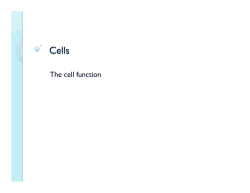 The cell function