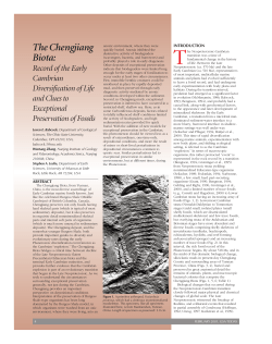 The Chengjiang Biota - Geological Society of America