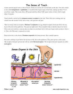 The Sense of Touch