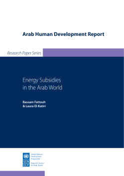 Energy Subsidies in the Arab World