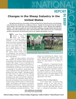 Changes in the Sheep Industry in the United States