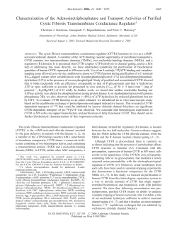 Characterization of the Adenosinetriphosphatase and Transport