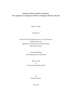 Minorities, Minority Identity and Violence: The